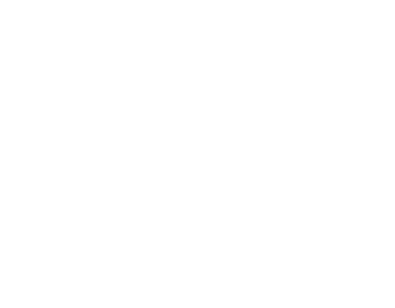 VEGA